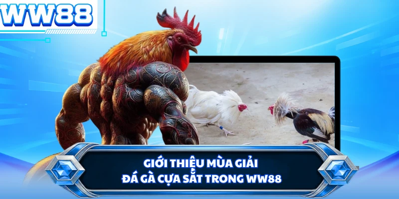 Giới thiệu mùa giải đá gà cựa sắt trong WW88