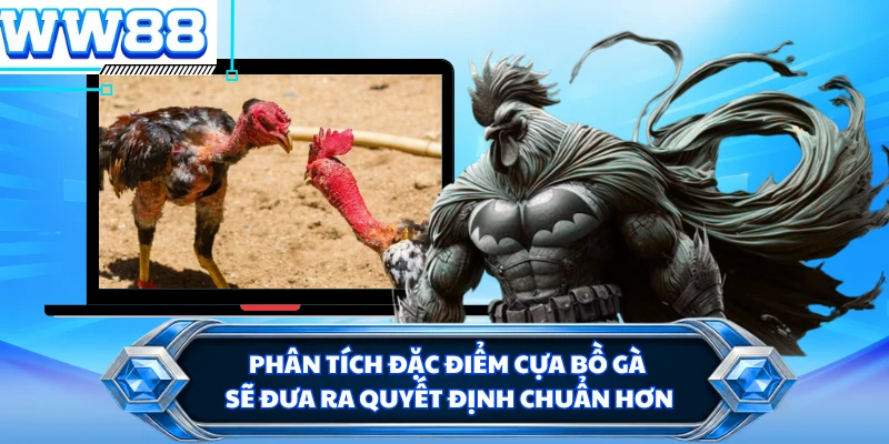 Phân tích đặc điểm cựa bồ gà sẽ đưa ra quyết định chuẩn hơn